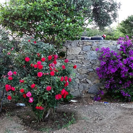 Mykonian Breeze Daire Ano Mera