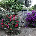 Mykonian Breeze Apartament Ano Mera