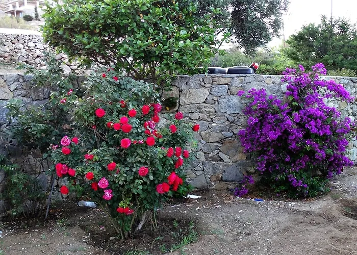 Mykonian Breeze Διαμέρισμα Άνω Μερά